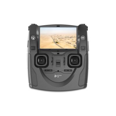 Radio 2,4Ghz avec �cran LCD