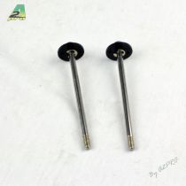 Axe et piston amortisseur arrière (2pcs)