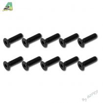 Vis tête plate M3x12 (10pcs)