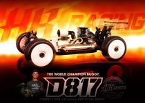 Voiture 1/8 Buggy HB D817