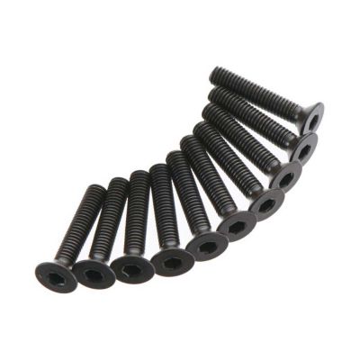 AR722316 Flat Head Screw 3x16mm (10) - HORIZON HOBBY - R�f�rence: ARAC9889