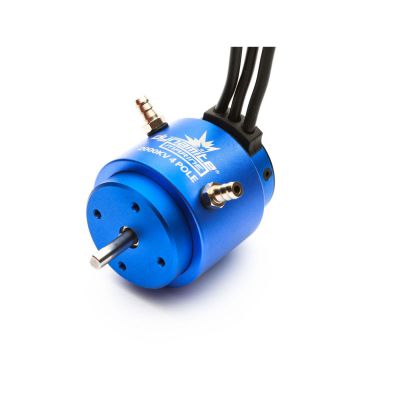 Moteur 36x50mm brushless pour bateau, 4 p�les 2000Kv - HORIZON HOBBY - R�f�rence: DYNM3900