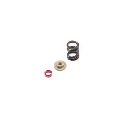 22 - Set de ressort de slipper renforc� - HORIZON HOBBY - R�f�rence: TLR232066
