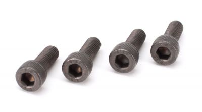 Muffler bolts (M5x14 (2)) ZP38 - HORIZON HOBBY - R�f�rence: ZENP3813