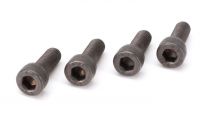 Muffler bolts (M5x14 (2)) ZP38 - HORIZON HOBBY - Référence: ZENP3813