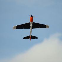 E-FLITE V900 BNF Basic v2 - avec cone en alu - Référence: EFL7450