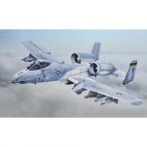 I2725 A-10C Blacksnakes 1/48 (I2725)