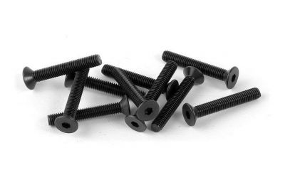 Vis FHC M3x20  (10)